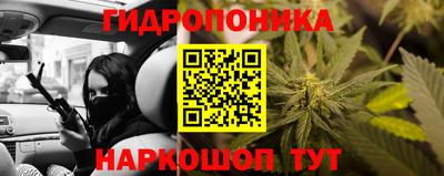 прущий лед Гусев