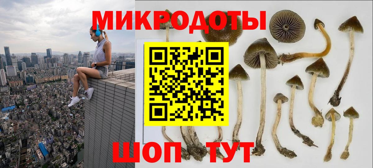 Усолье-Сибирское  как найти   Вход с VPN  Галлюциногенные грибы мухоморы  Псилоцибиновые грибы прущие грибы 