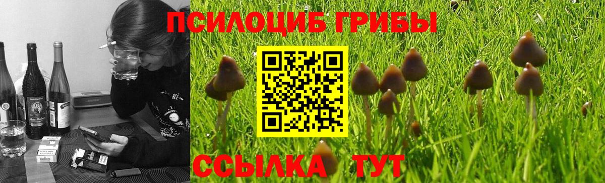 Псилоцибиновые грибы GOLDEN TEACHER Усолье-Сибирское